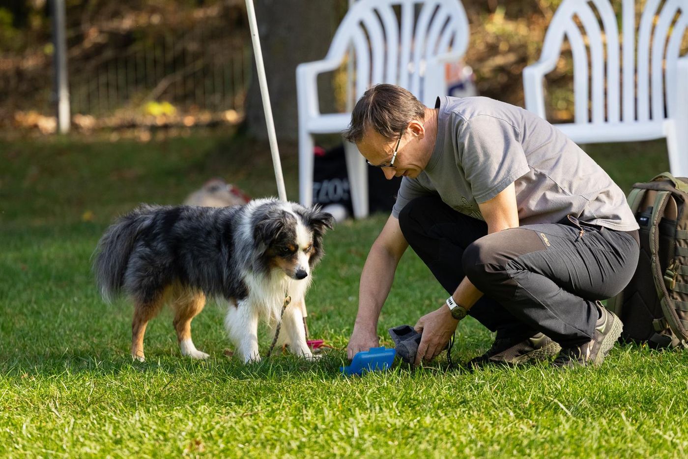 Agility-Staffellauf 2026