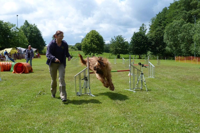 Agility-Turnier 2016