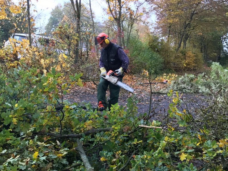 Arbeitseinsatz 2016