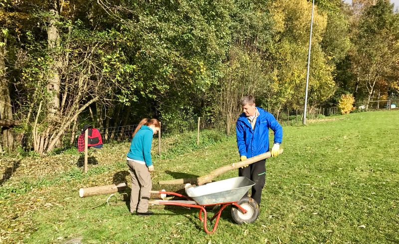 Arbeitseinsatz 2016