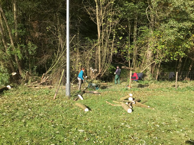 Arbeitseinsatz 2016