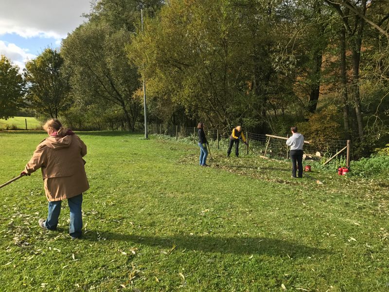 Arbeitseinsatz 2016