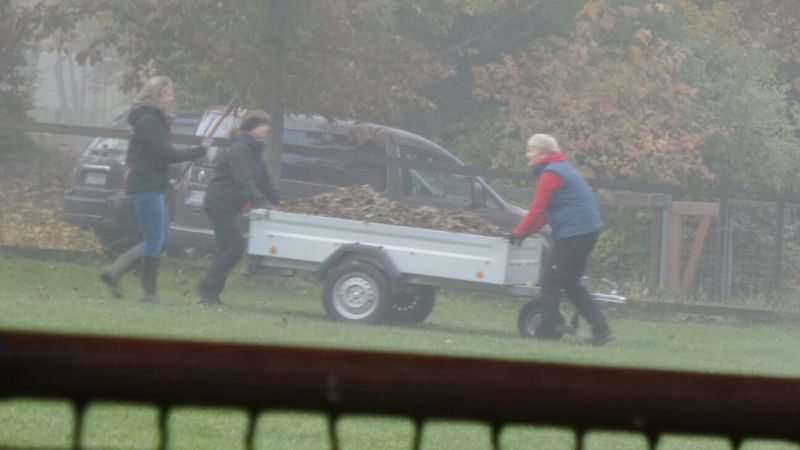 Arbeitseinsatz Herbst 2015