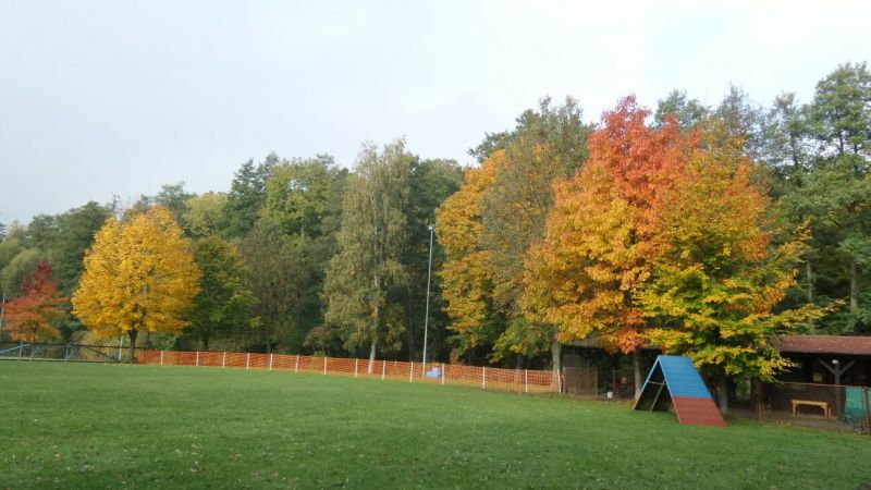 Arbeitseinsatz Herbst 2015