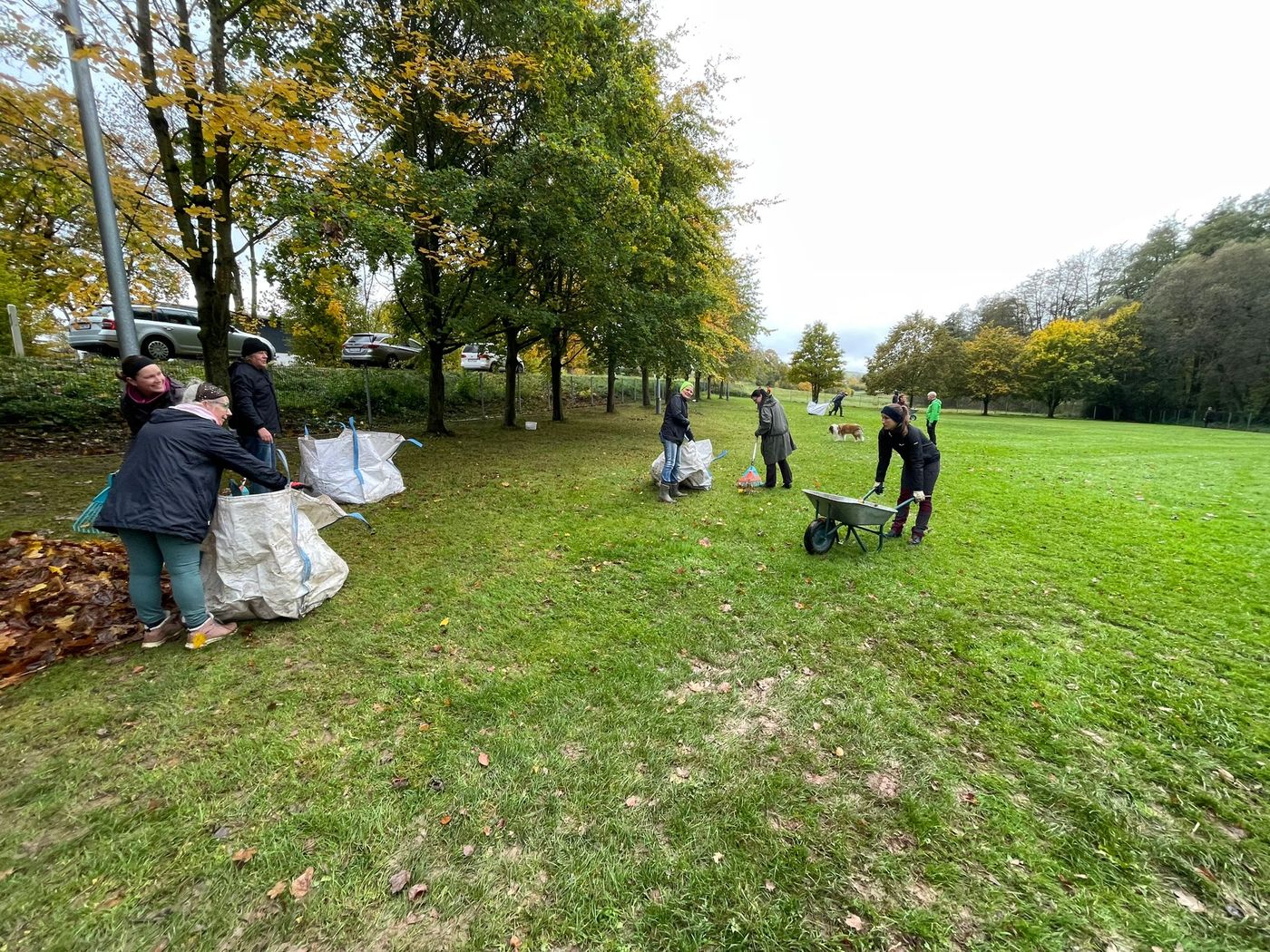 Arbeitseinsatz Herbst