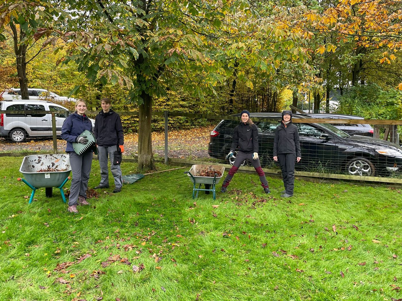 Arbeitseinsatz Herbst