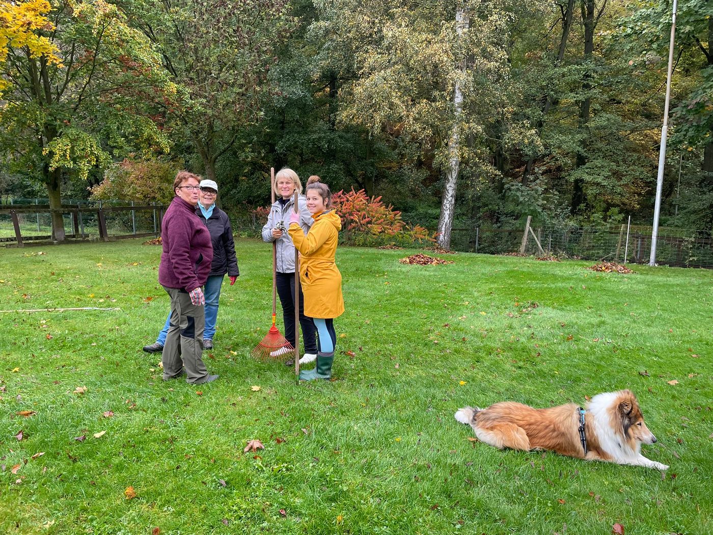 Arbeitseinsatz Herbst