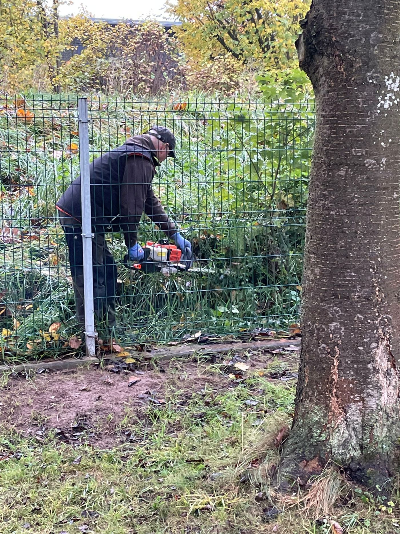 Arbeitseinsatz Herbst