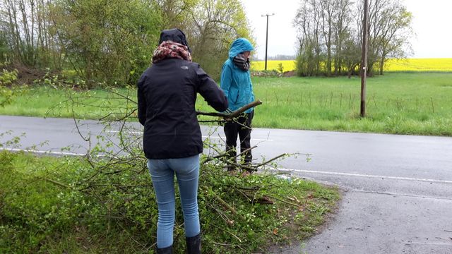 Arbeitseinsatz 2016