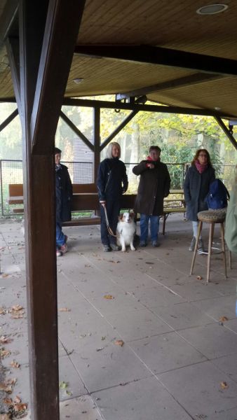 Begleithundeprüfung Herbst 2015