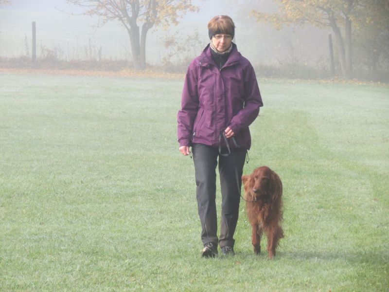 Begleithundeprüfung Herbst 2015