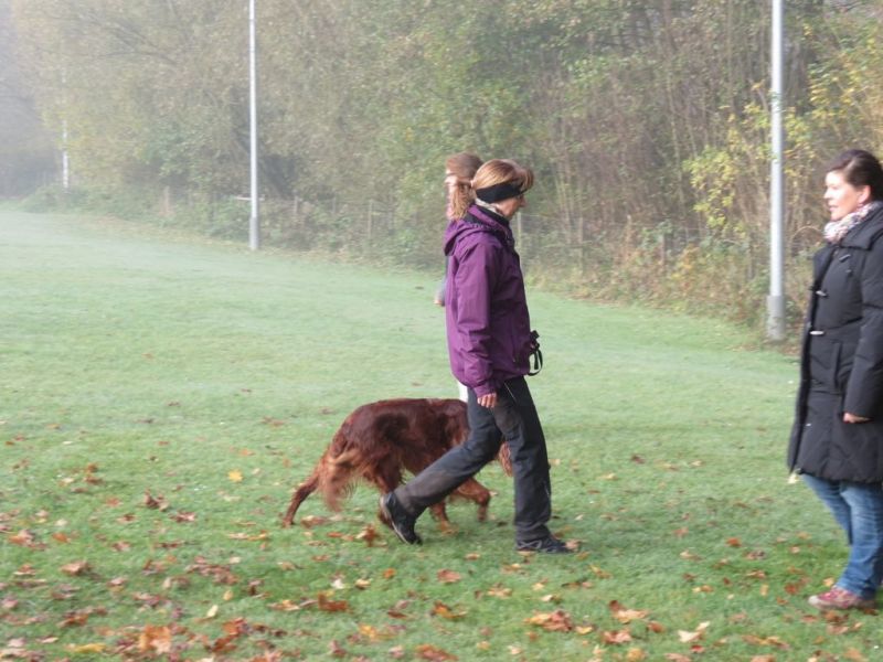 Begleithundeprüfung Herbst 2015
