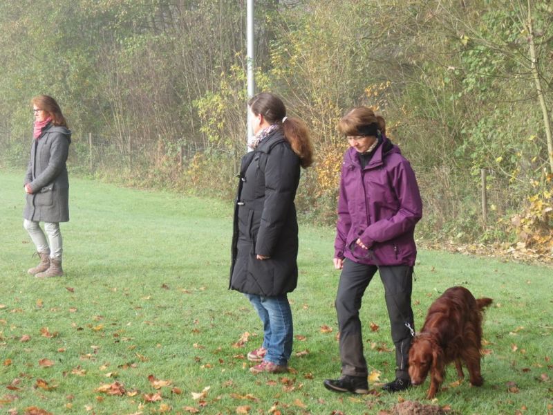 Begleithundeprüfung Herbst 2015