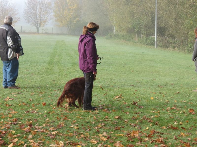 Begleithundeprüfung Herbst 2015