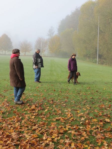 Begleithundeprüfung Herbst 2015