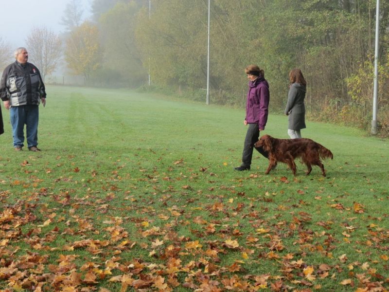 Begleithundeprüfung Herbst 2015