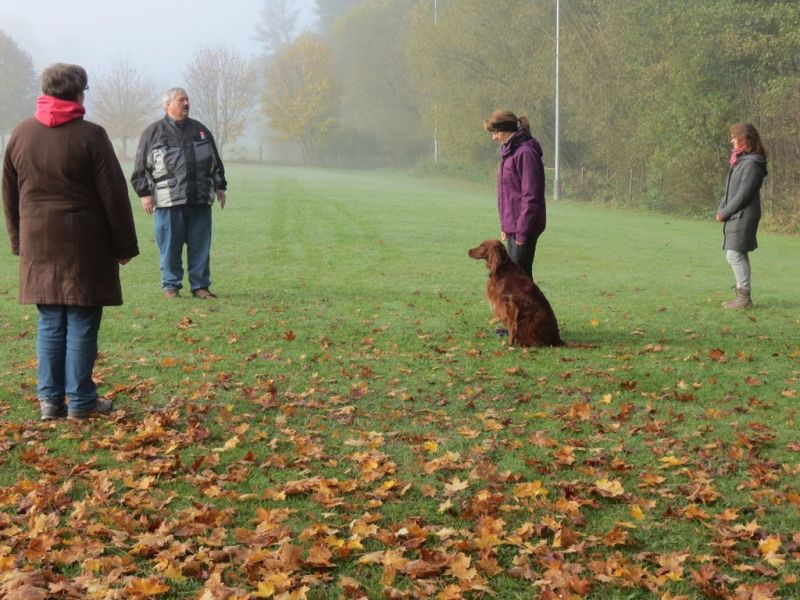 Begleithundeprüfung Herbst 2015
