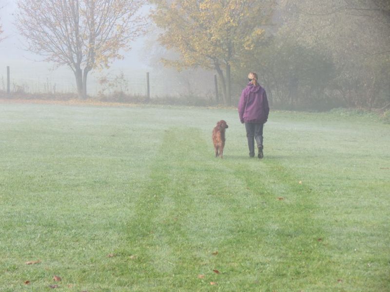 Begleithundeprüfung Herbst 2015