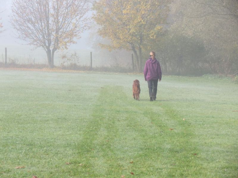 Begleithundeprüfung Herbst 2015