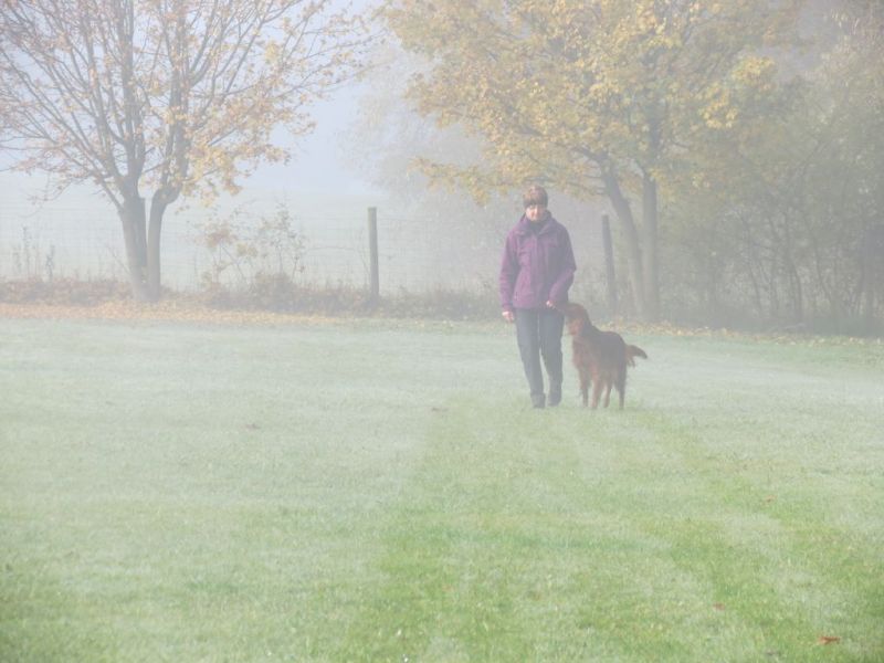 Begleithundeprüfung Herbst 2015
