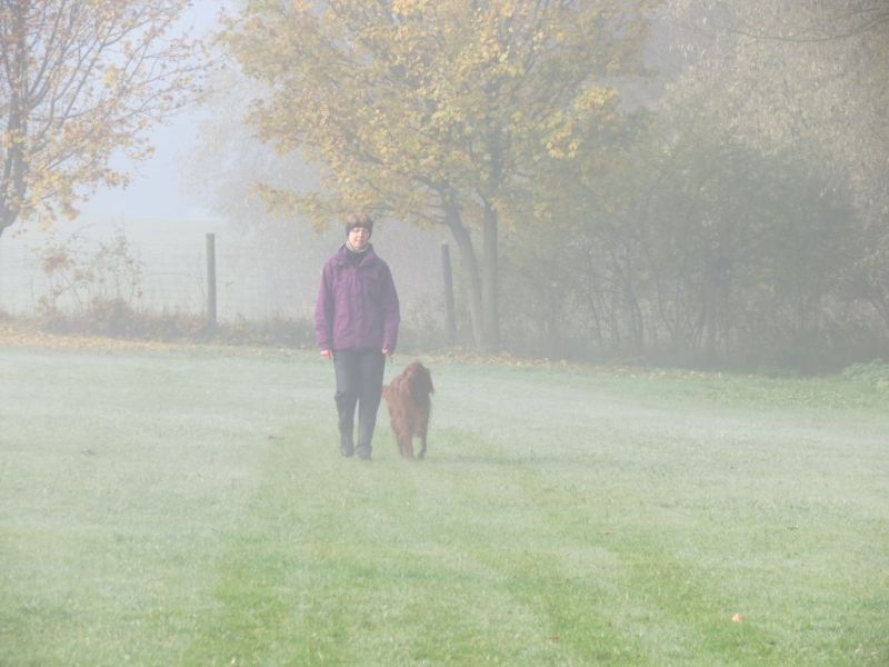 Begleithundeprüfung Herbst 2015