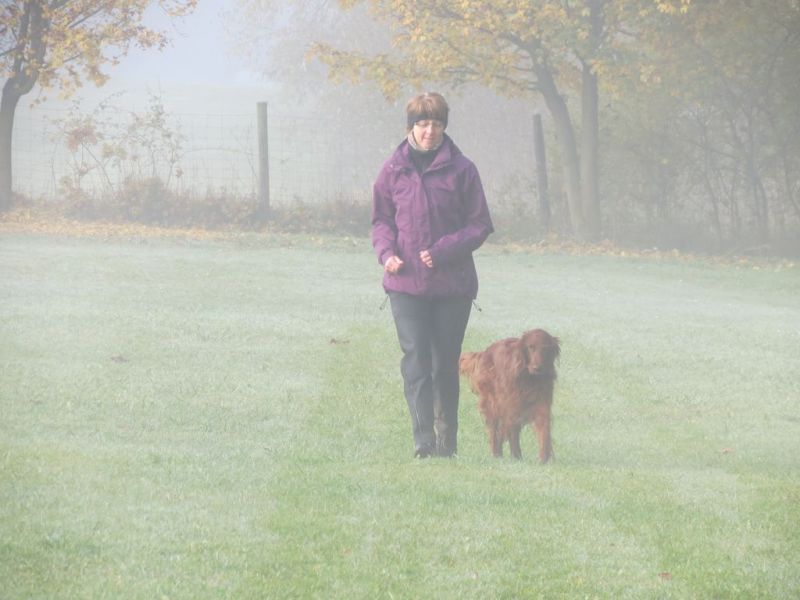 Begleithundeprüfung Herbst 2015