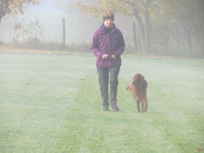 Begleithundeprüfung Herbst 2015