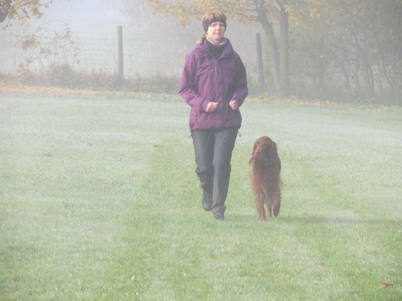Begleithundeprüfung Herbst 2015