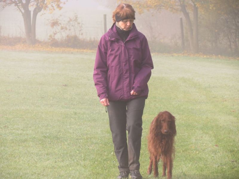Begleithundeprüfung Herbst 2015