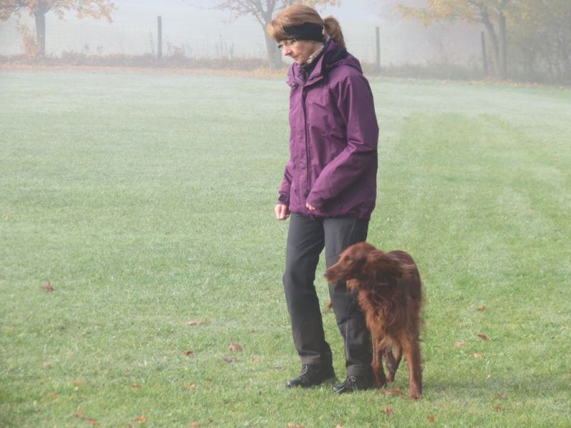 Begleithundeprüfung Herbst 2015