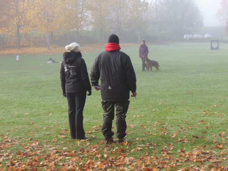 Begleithundeprüfung Herbst 2015