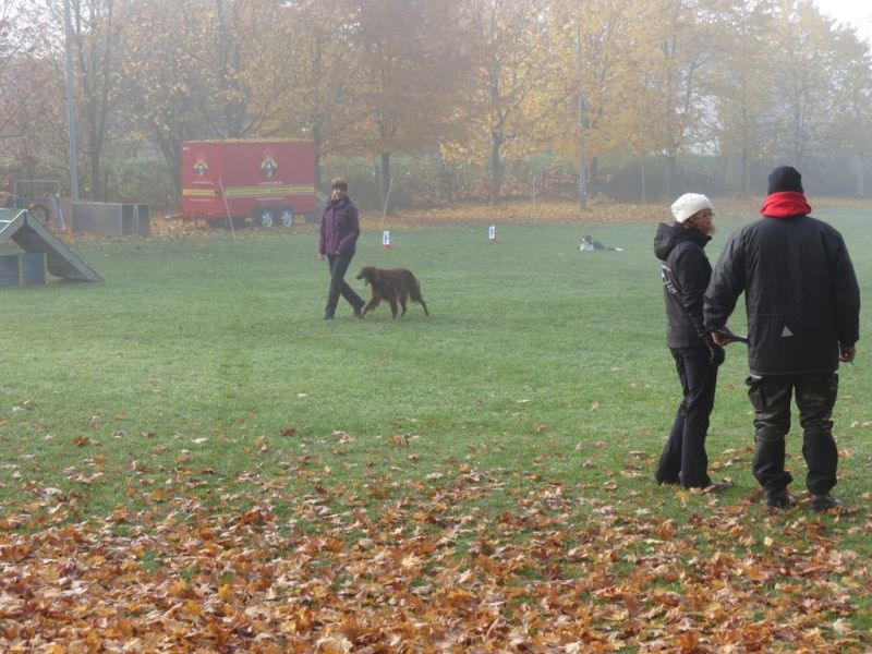 Begleithundeprüfung Herbst 2015