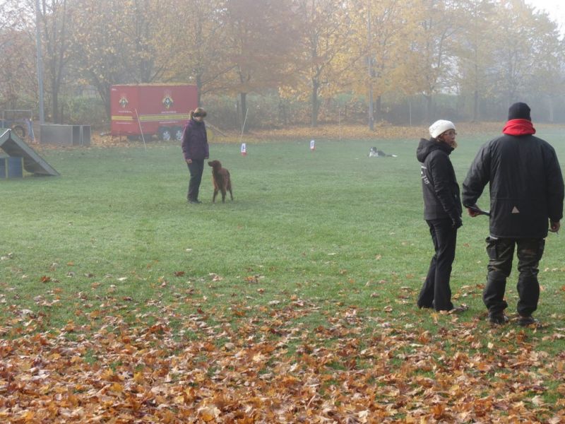 Begleithundeprüfung Herbst 2015