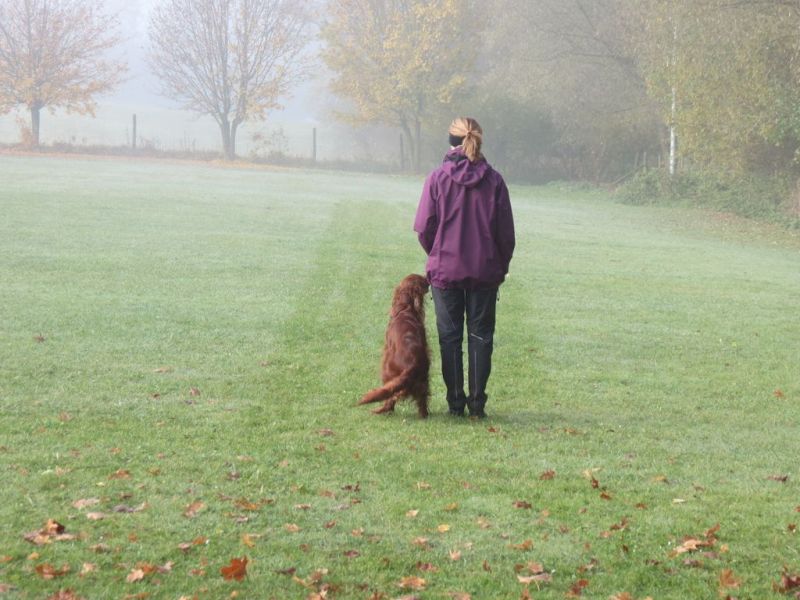 Begleithundeprüfung Herbst 2015