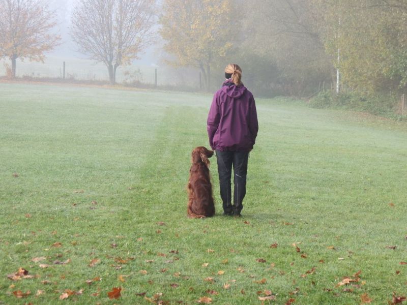 Begleithundeprüfung Herbst 2015