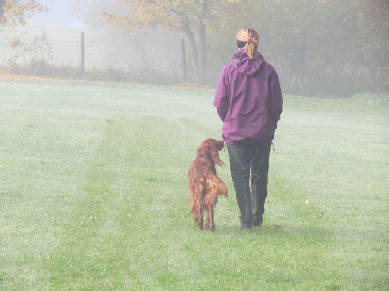 Begleithundeprüfung Herbst 2015