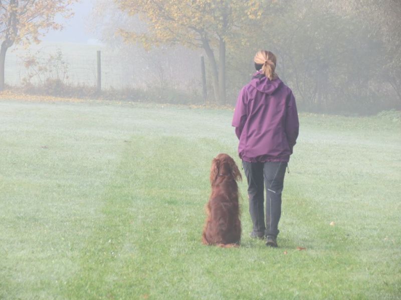 Begleithundeprüfung Herbst 2015