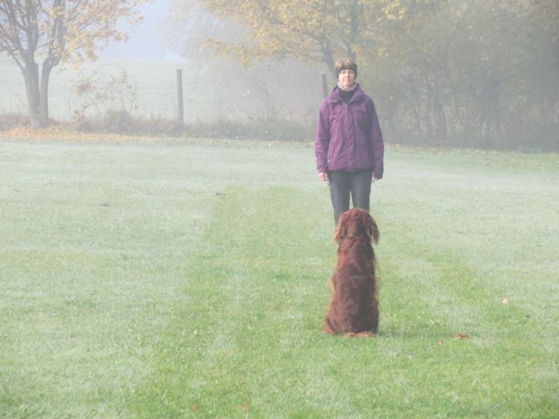 Begleithundeprüfung Herbst 2015