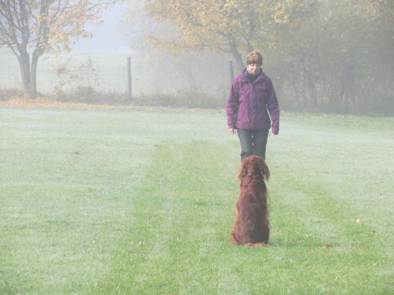 Begleithundeprüfung Herbst 2015