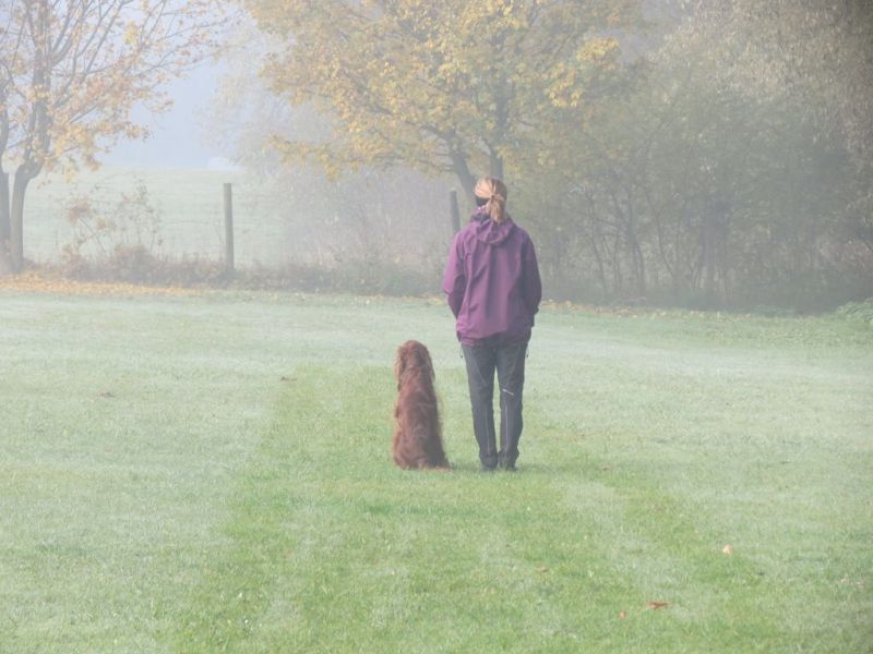 Begleithundeprüfung Herbst 2015