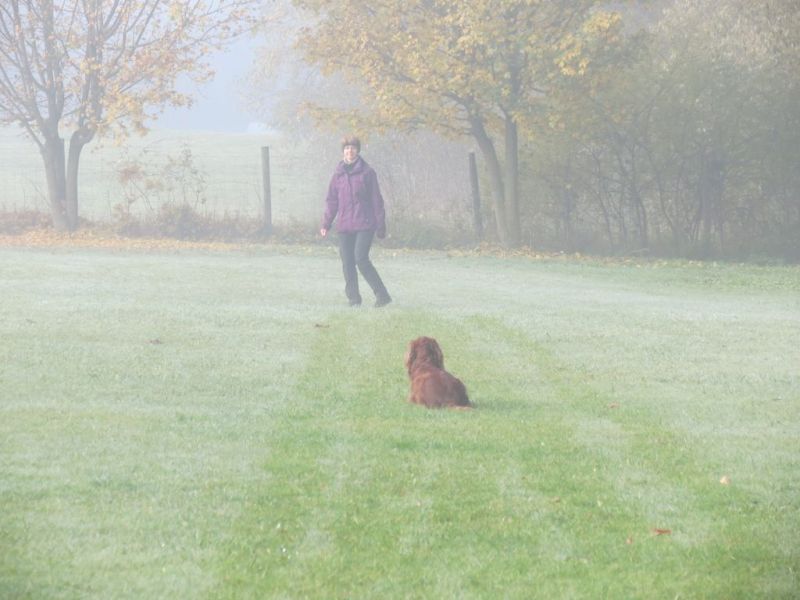 Begleithundeprüfung Herbst 2015