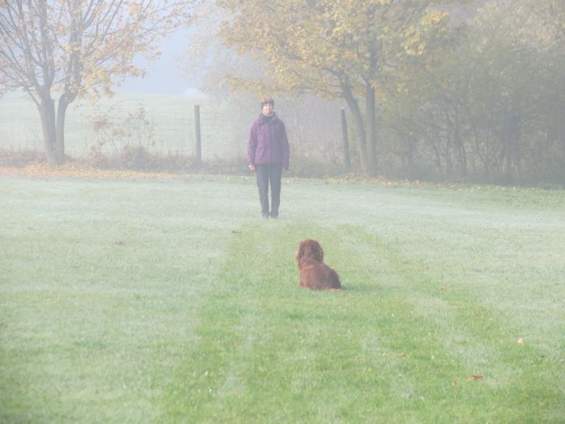 Begleithundeprüfung Herbst 2015