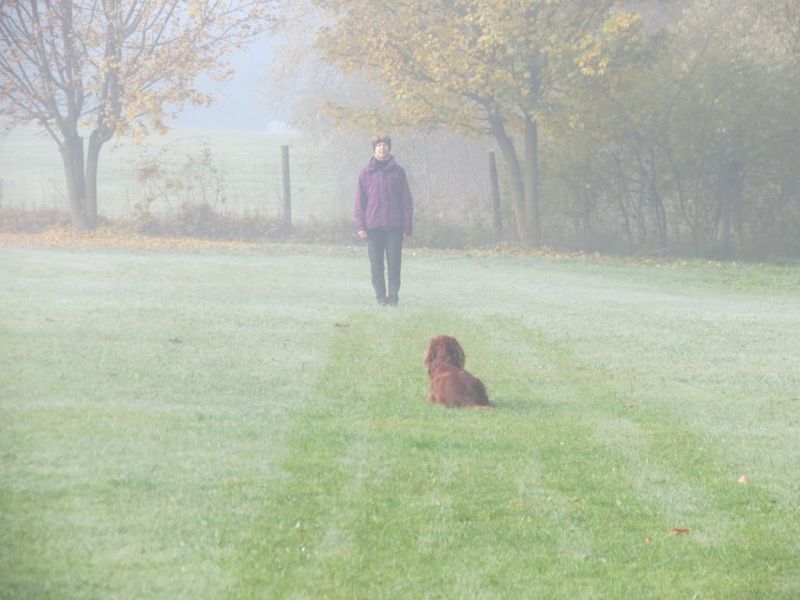 Begleithundeprüfung Herbst 2015