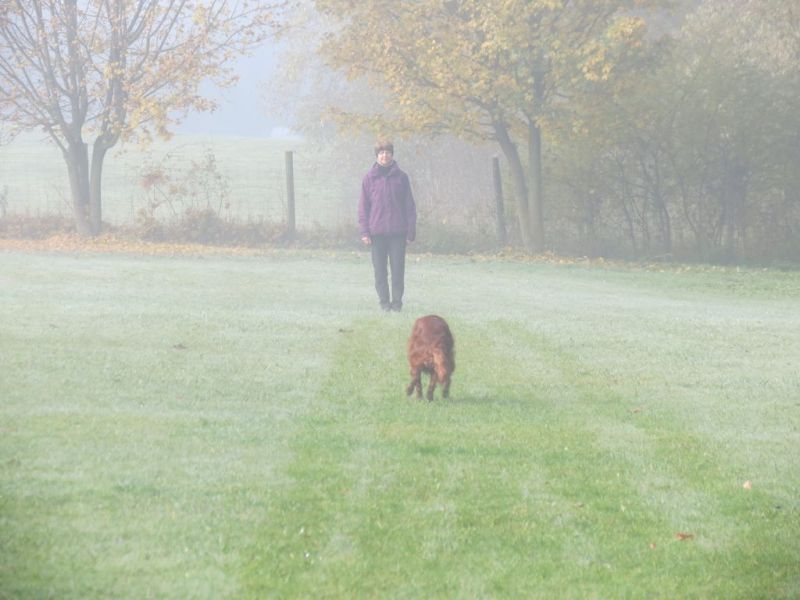 Begleithundeprüfung Herbst 2015