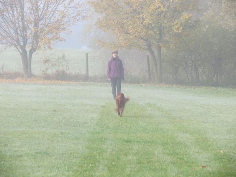 Begleithundeprüfung Herbst 2015