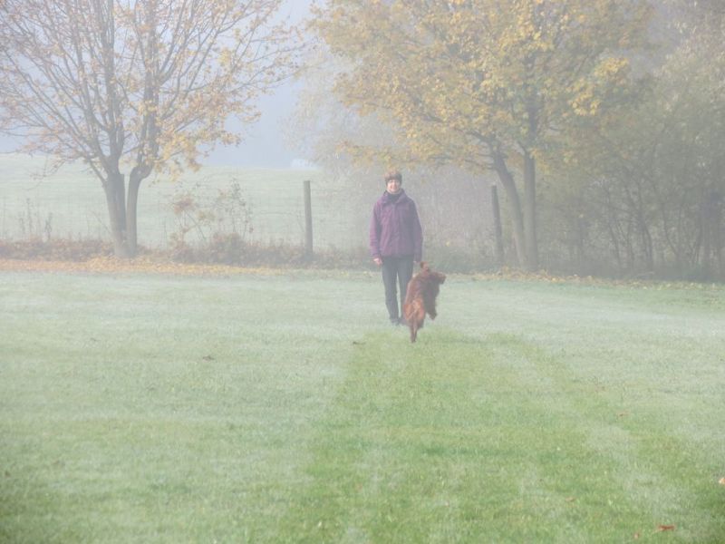 Begleithundeprüfung Herbst 2015