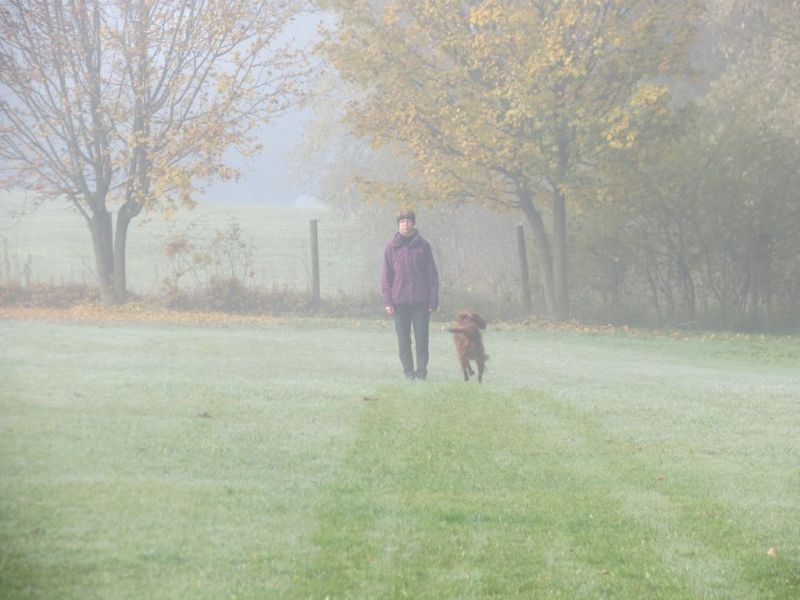 Begleithundeprüfung Herbst 2015