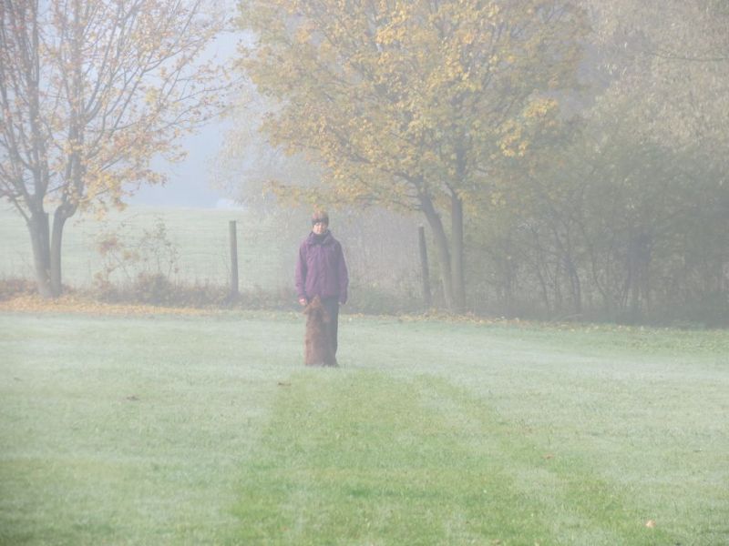 Begleithundeprüfung Herbst 2015