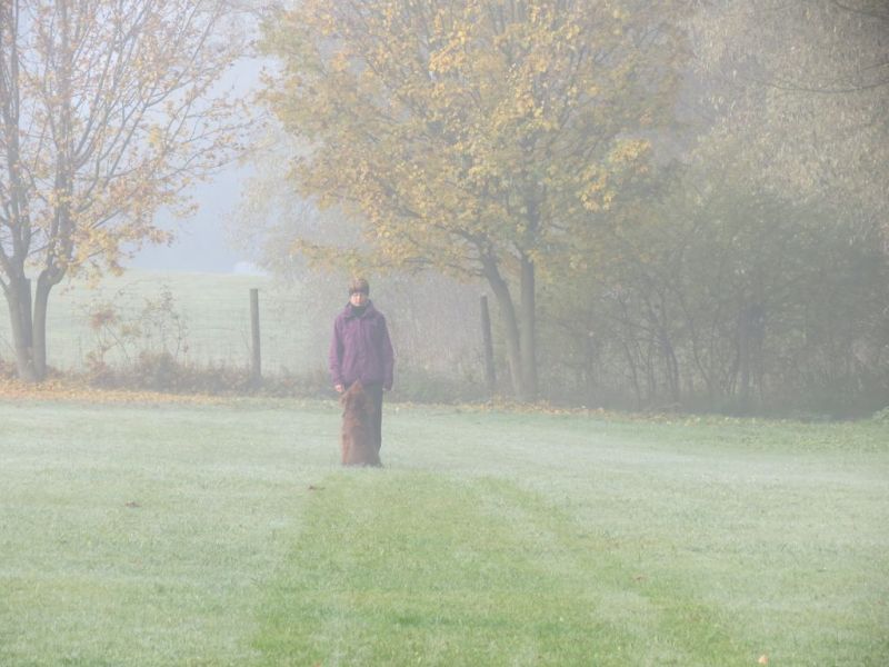 Begleithundeprüfung Herbst 2015