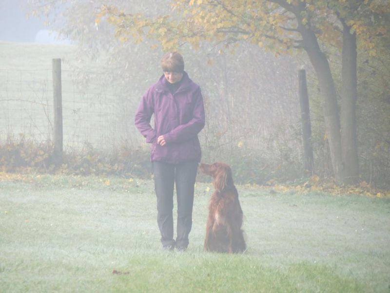 Begleithundeprüfung Herbst 2015